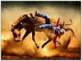 476 - CRAZY HORSE - TAM JOSEPH - australia